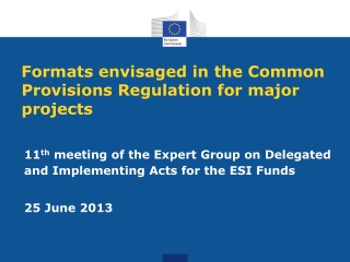 Formats envisaged in the Common Provisions Regulation for major projects