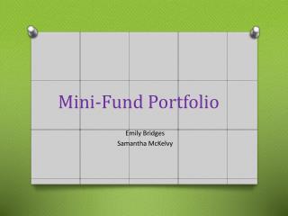 Mini-Fund Portfolio
