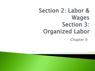 Section 2: Labor & Wages Section 3: Organized Labor