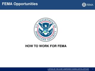 FEMA Opportunities