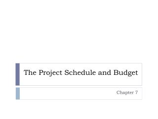 The Project Schedule and Budget