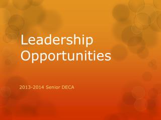 Leadership Opportunities