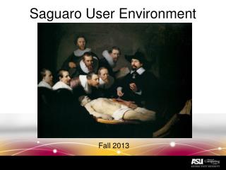 Saguaro User Environment