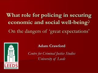 What role for policing in securing economic and social well-being ? On the dangers of ‘great expectations’