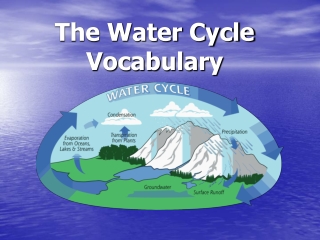 The Water Cycle Vocabulary