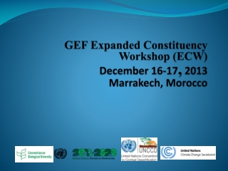 GEF Expanded Constituency Workshop (ECW) December 16-17 , 2013 Marrakech, Morocco