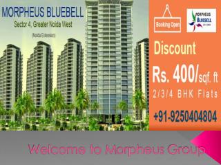 Morpheus Group Noida