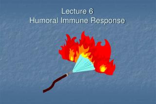 Lecture 6 Humoral Immune Response