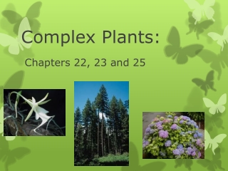 Complex Plants: