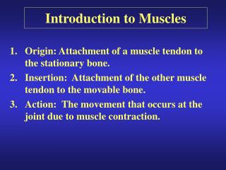 Introduction to Muscles
