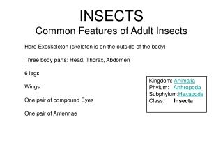 INSECTS Common Features of Adult Insects Hard Exoskeleton (skeleton is on the outside of the body)
