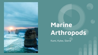 Marine Arthropods
