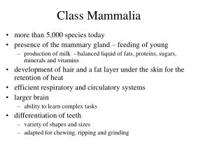 PPT - Class Mammalia PowerPoint Presentation, free download - ID:158489