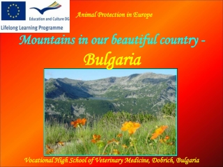Mountains in our beautiful country - Bulgaria