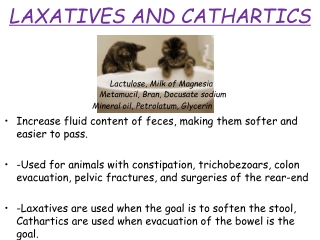 Ppt Laxatives And Cathartics Powerpoint Presentation Free Download Id 158552