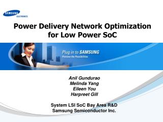Power Delivery Network Optimization for Low Power SoC