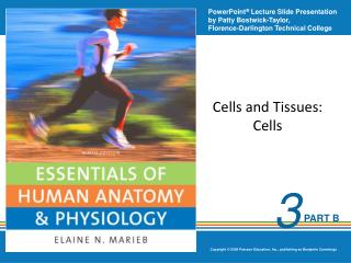 Cells and Tissues: Cells