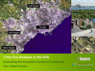 i-Tree Eco Analyses in the GTA Evaluating the Ecosystem Services Provided by Our Urban Forests