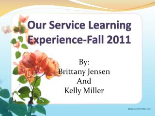 Our Service Learning Experience-Fall 2011
