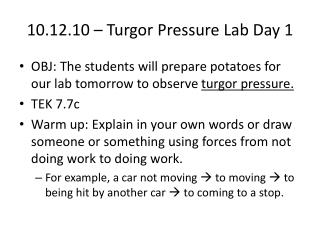 10.12.10 – Turgor Pressure Lab Day 1