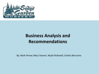 Business Analysis and Recommendations