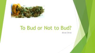 To Bud or Not to Bud?