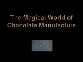 The Magical World of Chocolate Manufacture