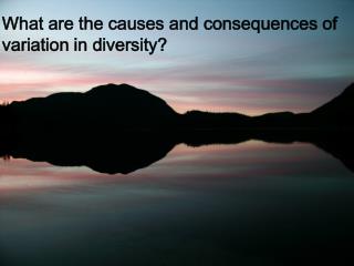What are the causes and consequences of variation in diversity?