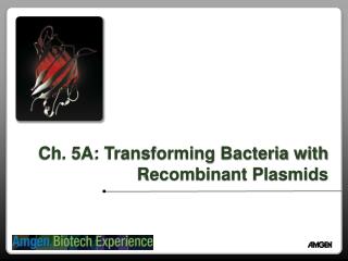 Ch. 5A: Transforming Bacteria with Recombinant Plasmids