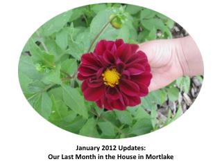 January 2012 Updates: Our Last Month in the House in Mortlake