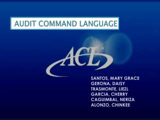 harga software audit command language