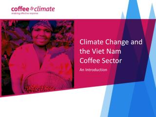 Climate Change and the Viet Nam Coffee Sector