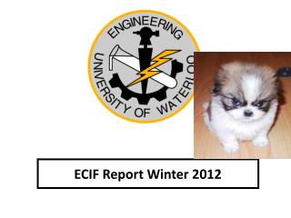 ECIF Report Winter 2012