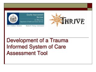 Development of a Trauma Informed System of Care Assessment Tool