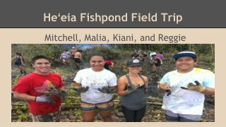 Heʻeia Fishpond Field Trip