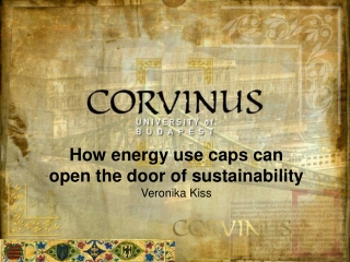 How energy use caps can open the door of sustainability Veronika Kiss
