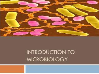 Ppt Introduction To Microbiology Powerpoint Presentation Free Download Id