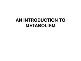 AN INTRODUCTION TO METABOLISM