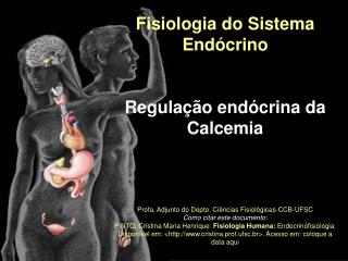 Fisiologia do Sistema Endócrino Regulação endócrina da Calcemia Profa. Adjunto do Depto. Ciências Fisiológicas-CCB-UFSC