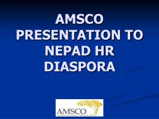 AMSCO PRESENTATION TO NEPAD HR DIASPORA