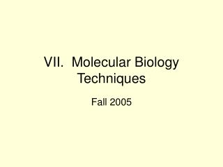 VII. Molecular Biology Techniques