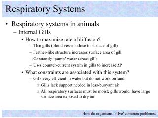 Respiratory Systems