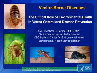 PPT - Vector-Borne Diseases PowerPoint Presentation, free download - ID