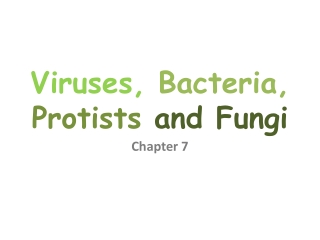Viruses, Bacteria, Protists and Fungi