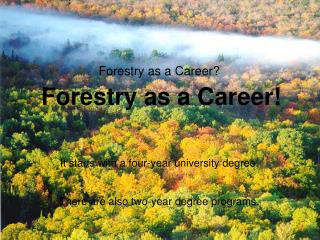 Forestry as a Career?