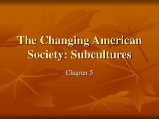 The Changing American Society: Subcultures