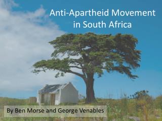 Anti-Apartheid Movement in South Africa