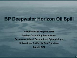 spill horizon deepwater oil