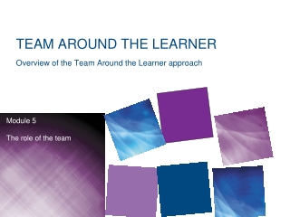TEAM AROUND THE LEARNER Overview of the Team Around the Learner approach