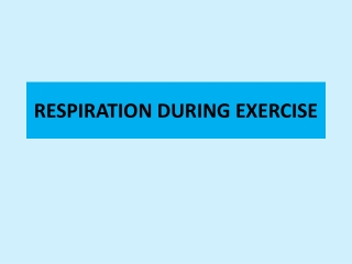 RESPIRATION DURING EXERCISE
